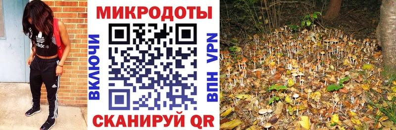Псилоцибиновые грибы мицелий  Южа 